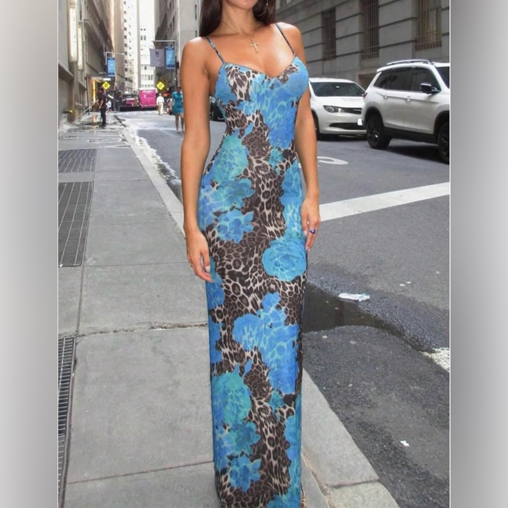 Stylish Blue and Brown Maxi Dress